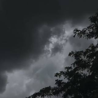 Black weather wallpaper
