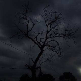 Black weather wallpaper