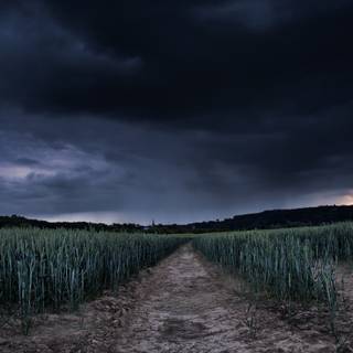 Black weather wallpaper