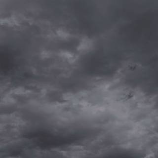 Black weather wallpaper