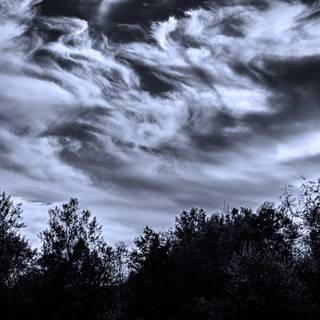 Black weather wallpaper