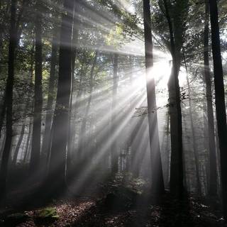 Tyndall effect wallpaper