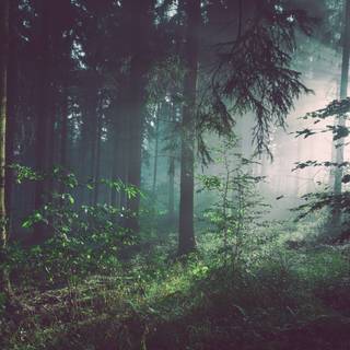 Tyndall effect wallpaper