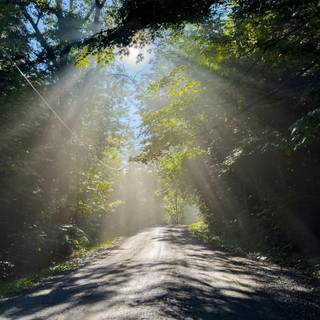 Tyndall effect wallpaper