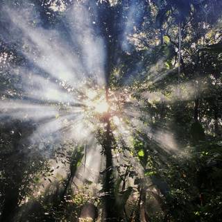 Tyndall effect wallpaper