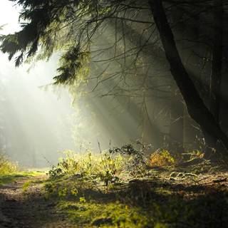 Tyndall effect wallpaper