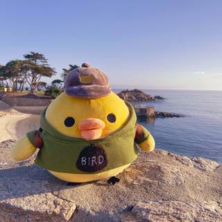 Kiiroitori wallpaper