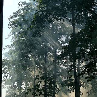 Tyndall effect wallpaper