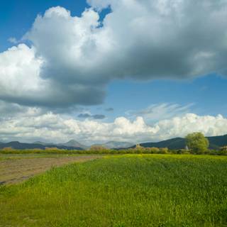 Tyndall effect wallpaper