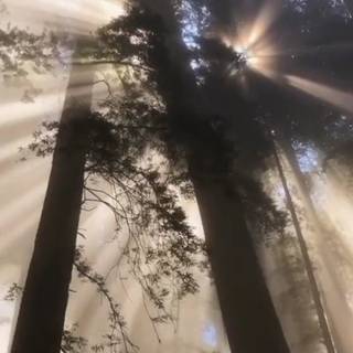 Tyndall effect wallpaper