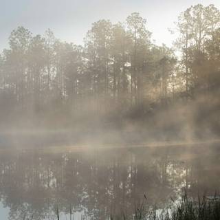 Tyndall effect wallpaper