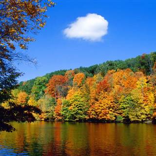 Tyndall effect wallpaper