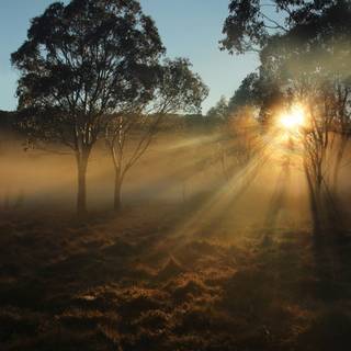 Tyndall effect wallpaper