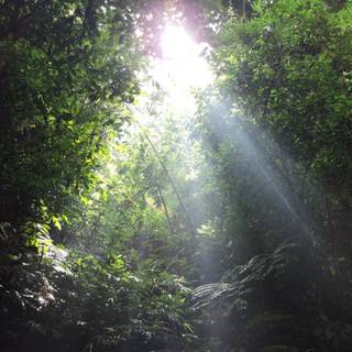 Tyndall effect wallpaper