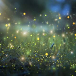 Tyndall effect wallpaper