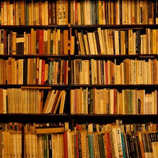 Bookshelf filled with books wallpaper