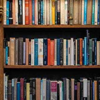 Bookshelf filled with books wallpaper