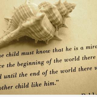 Pregnancy quotes wallpaper