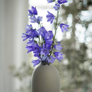 Vase of flowers wallpaper
