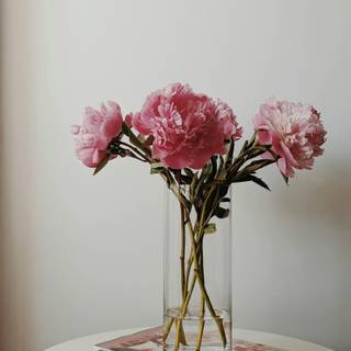 Vase of flowers wallpaper
