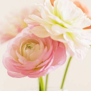 Vase of flowers wallpaper