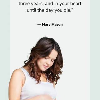 My wife is pregnant quotes wallpaper