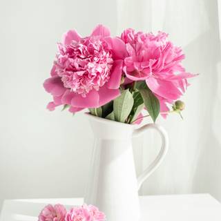 Vase of flowers wallpaper