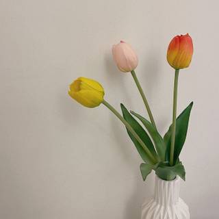 Vase of flowers wallpaper