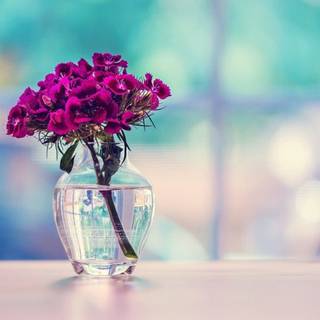 Vase of flowers wallpaper