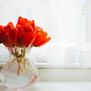 Vase of flowers wallpaper
