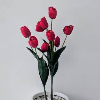 Vase of flowers wallpaper