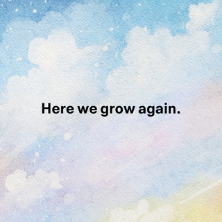 My wife is pregnant quotes wallpaper