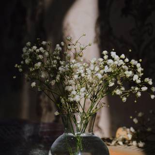 Vase of flowers wallpaper