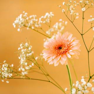 Vase of flowers wallpaper