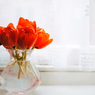 Flowers in a vase wallpaper