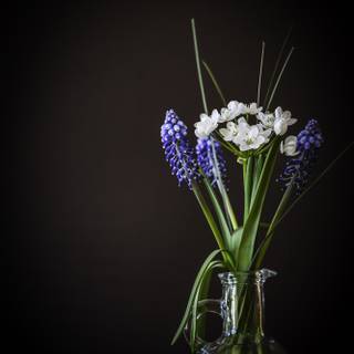 Flowers in a vase wallpaper