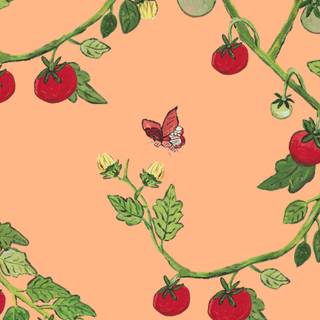 Pomodoro wallpaper