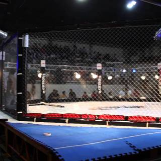 MMA ring wallpaper