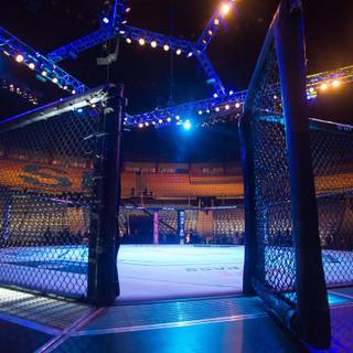 MMA ring wallpaper