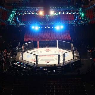 MMA ring wallpaper