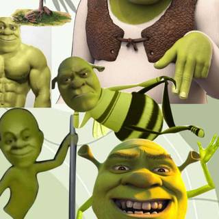 Shrek collage wallpaper