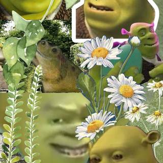 Shrek collage wallpaper