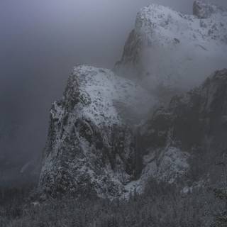 Winter dark fog wallpaper