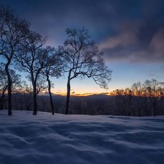 Dark winter 1920x1080 wallpaper