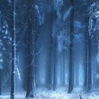 Dark winter 1920x1080 wallpaper