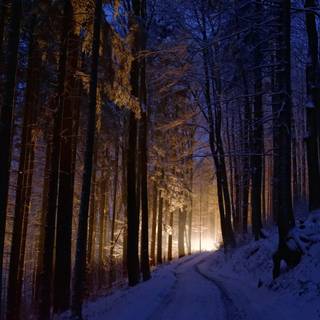 Dark winter 1920x1080 wallpaper