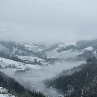 Winter dark fog wallpaper