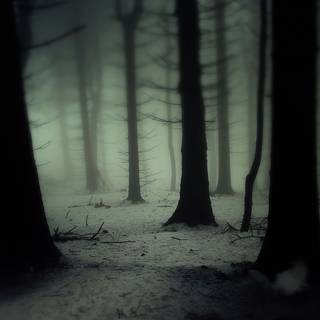 Winter dark fog wallpaper