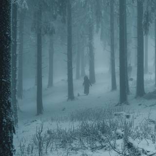 Winter dark fog wallpaper