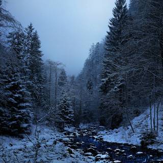 Dark winter 1920x1080 wallpaper